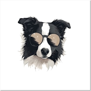 Border Collie With Sunglasses Posters and Art